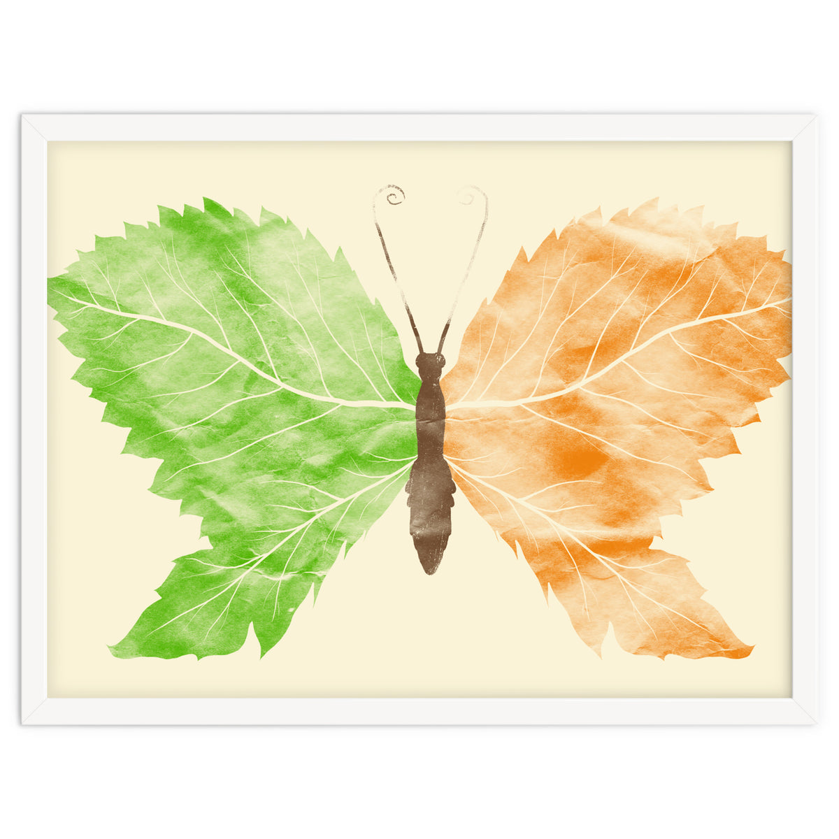 Seasons Change Time Flies