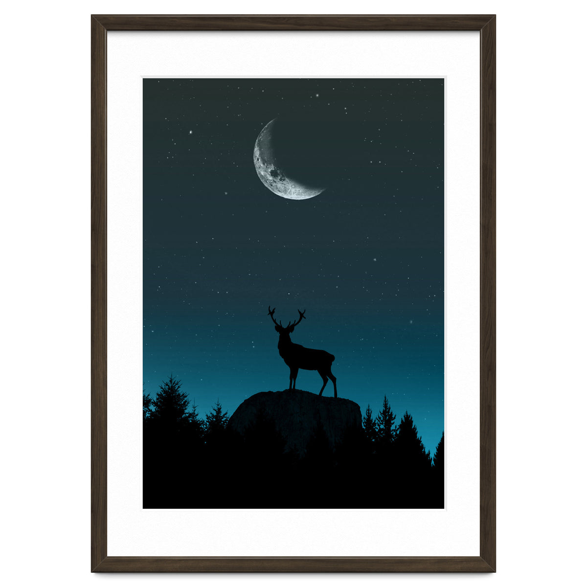 Wild Nature - Nocturne