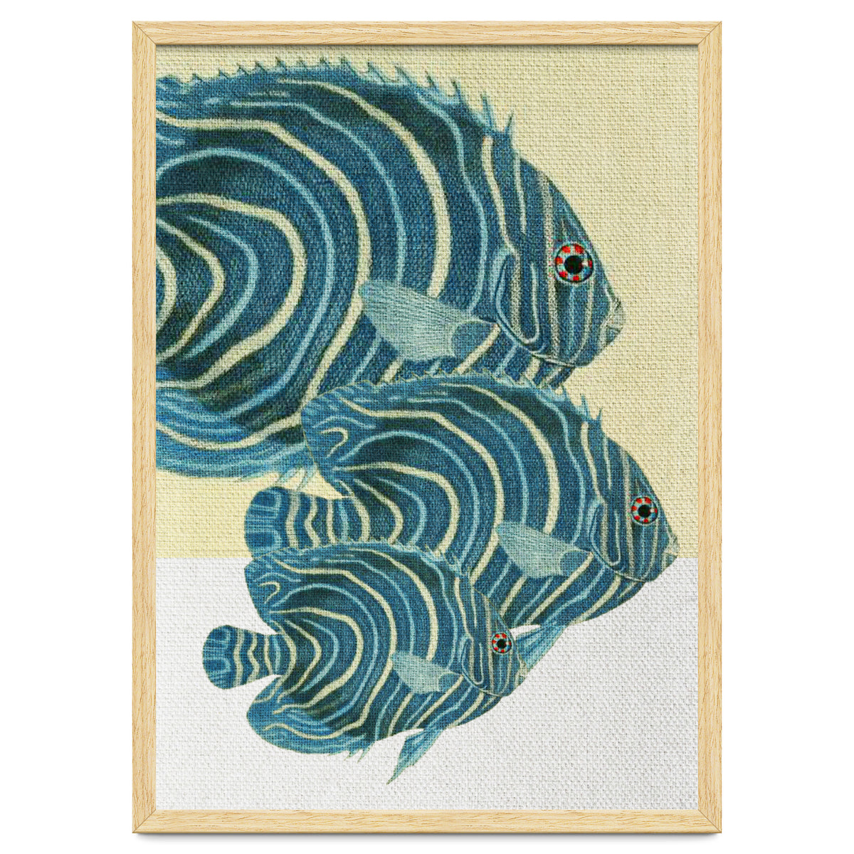 Fish Classic Designs 9