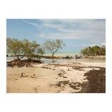 Yucatan beach (Print Only) thumbnail
