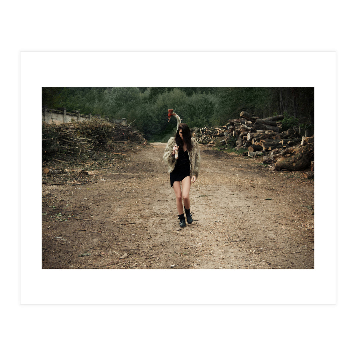 Primitive Tools (Print Only)