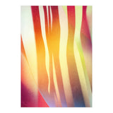 Carnival 2 (Print Only) thumbnail