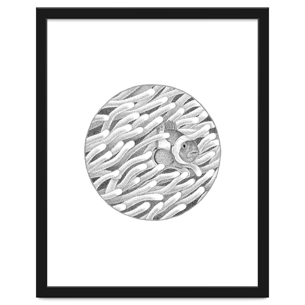 P.O. Underwater Gardens