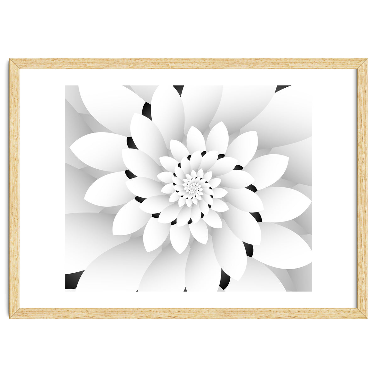 Monochrome Floral Design