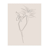 Flower 01 (Print Only) thumbnail