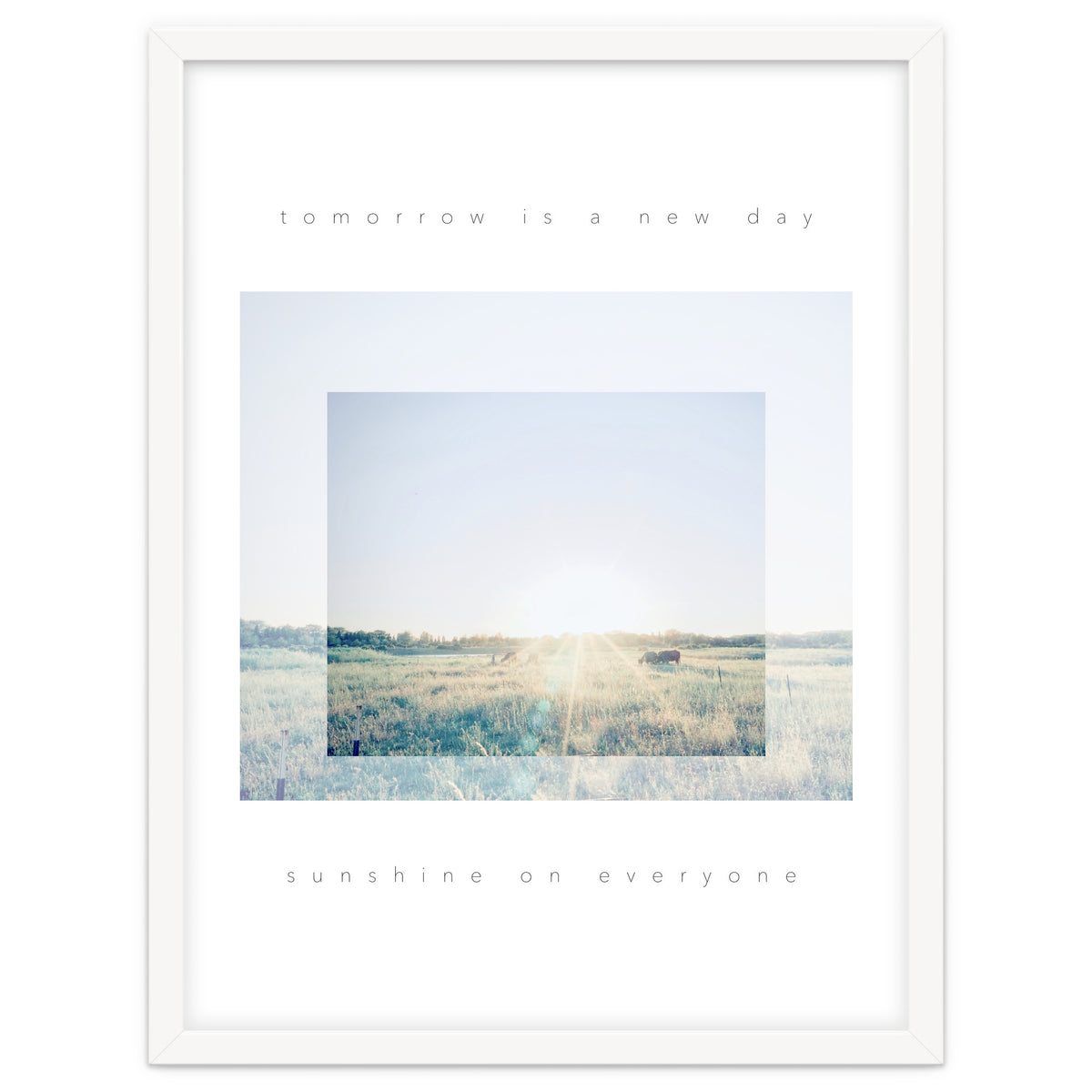 sunshine on everyone