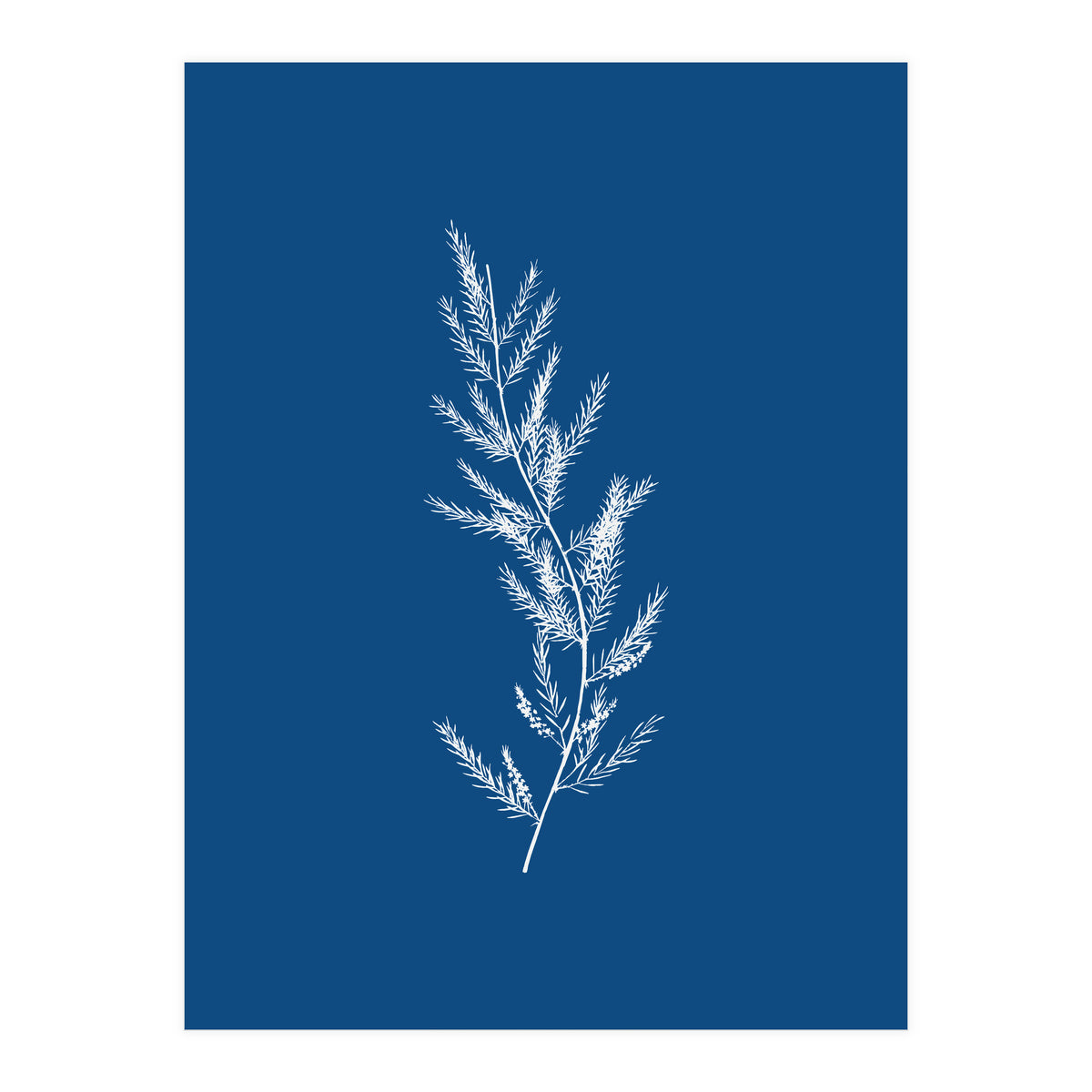 Blue Botanical II (Print Only)