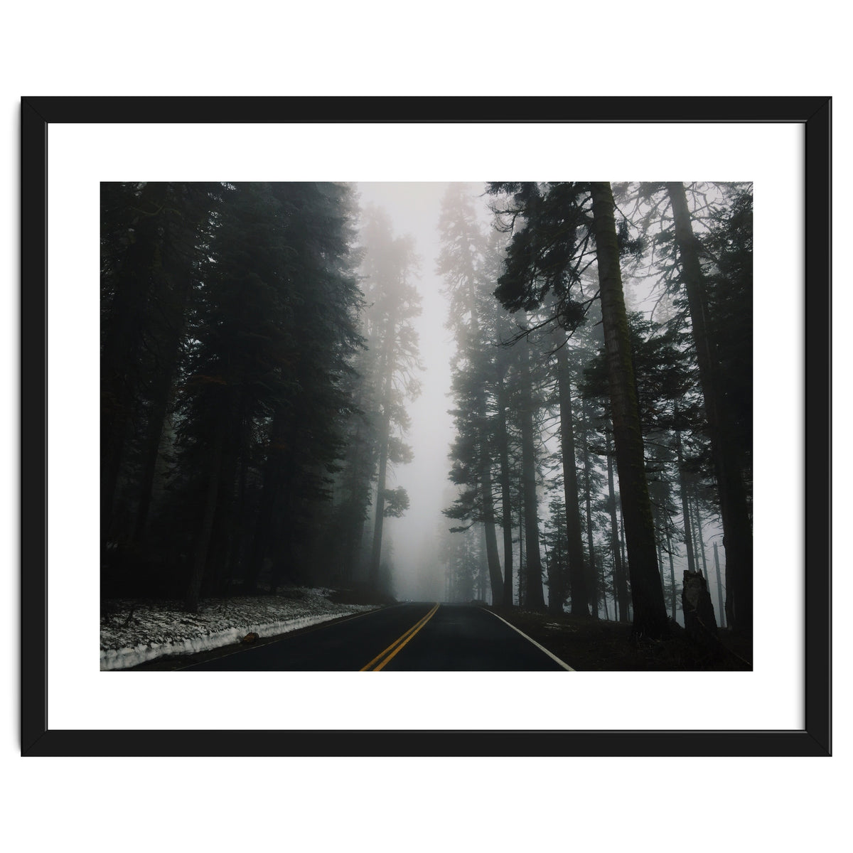 Foggy Yosemite