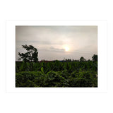 Never Ending Journey (Print Only) thumbnail