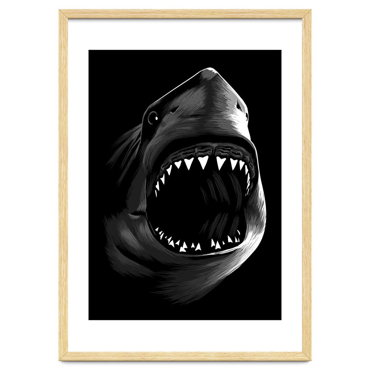 Megalodon
