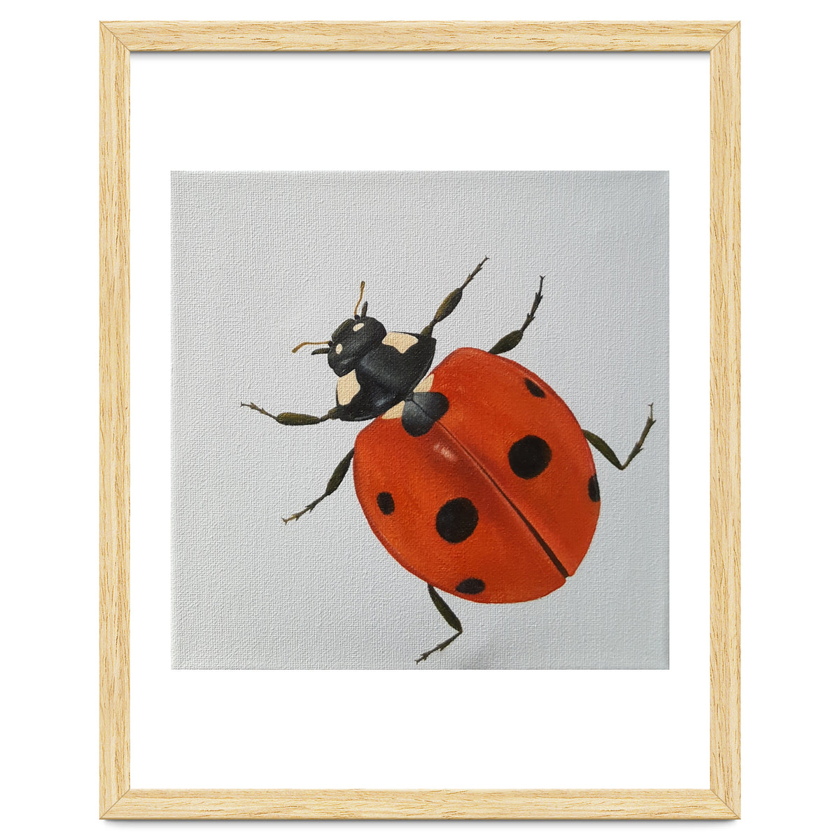 Ladybird