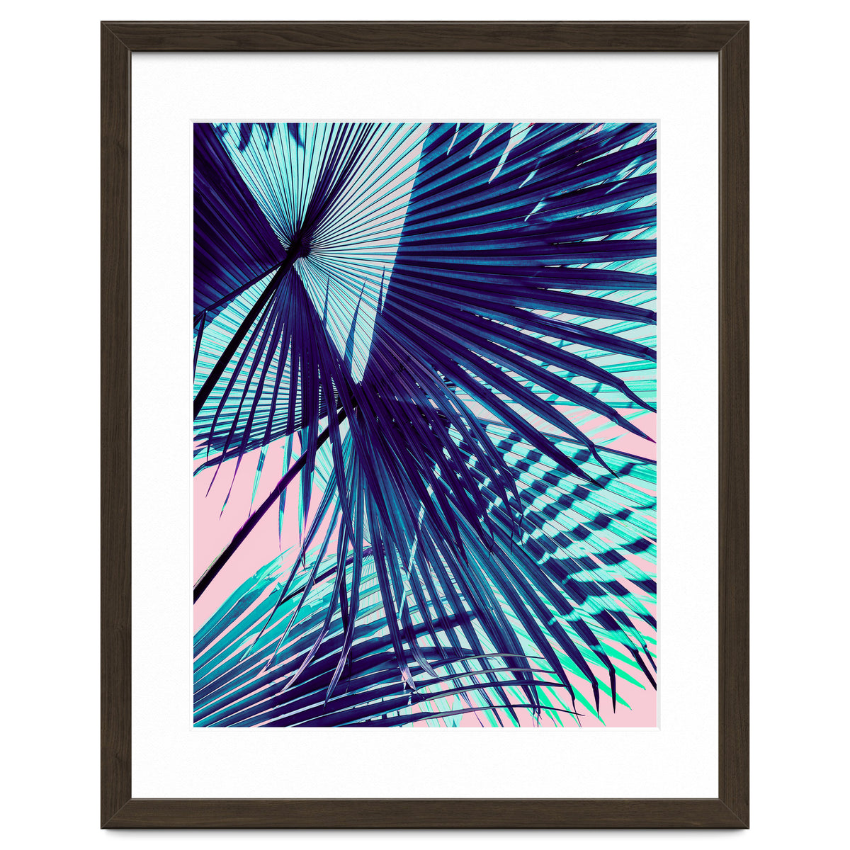 Palm leaf on the beach