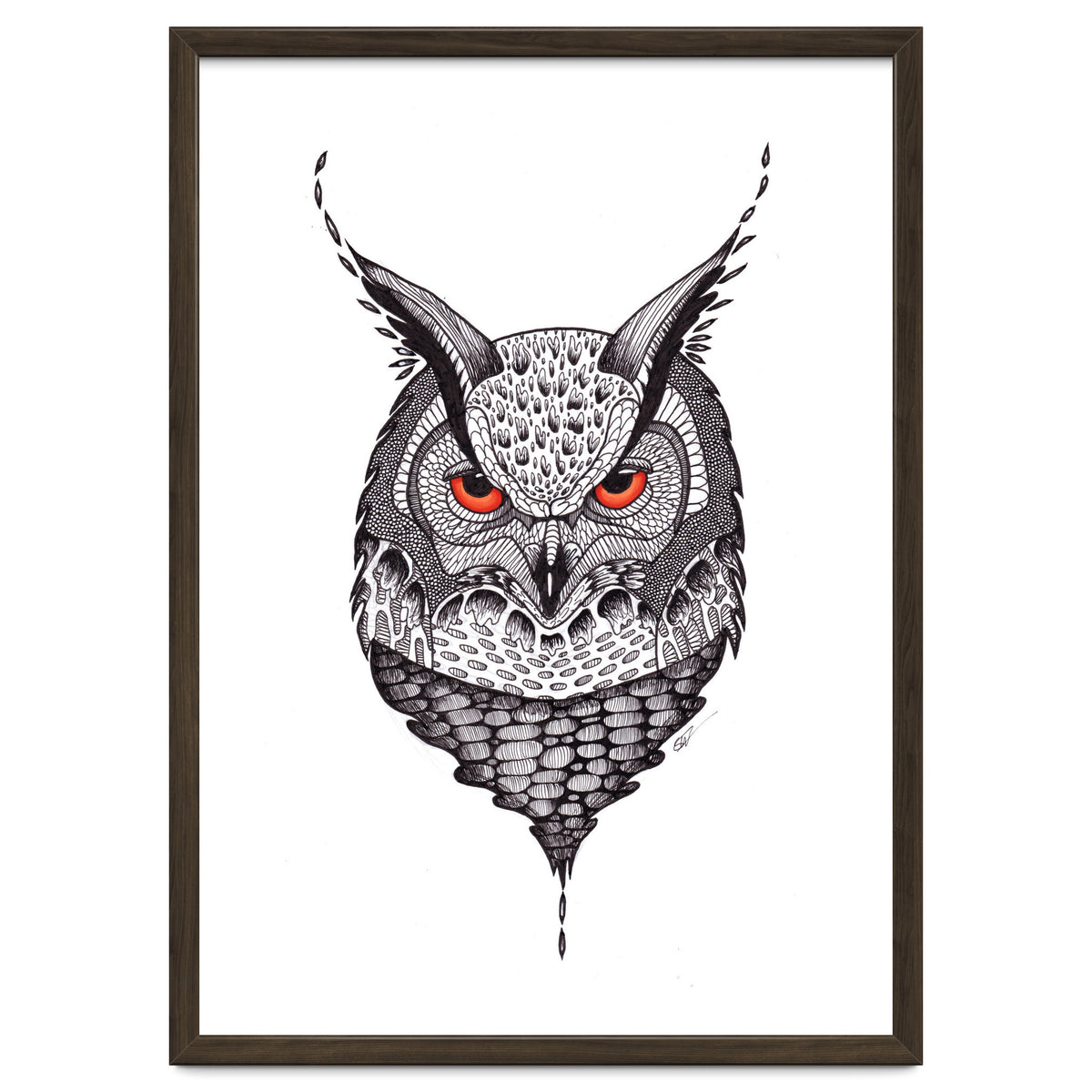 Owl