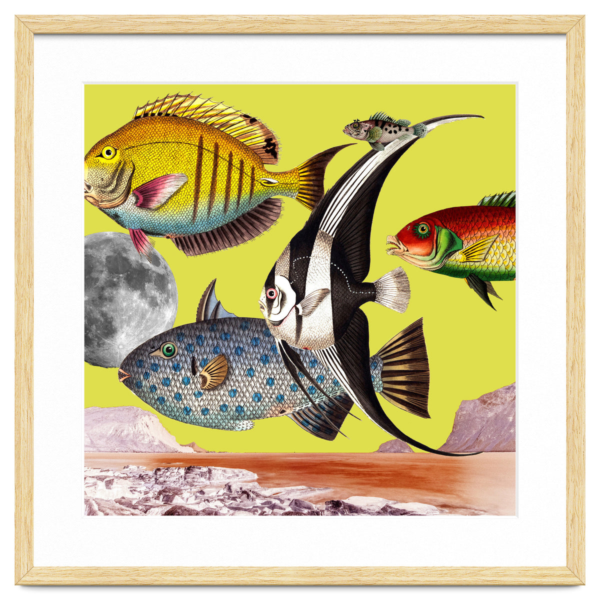 Plenty Of Fish In The Sea Yellow