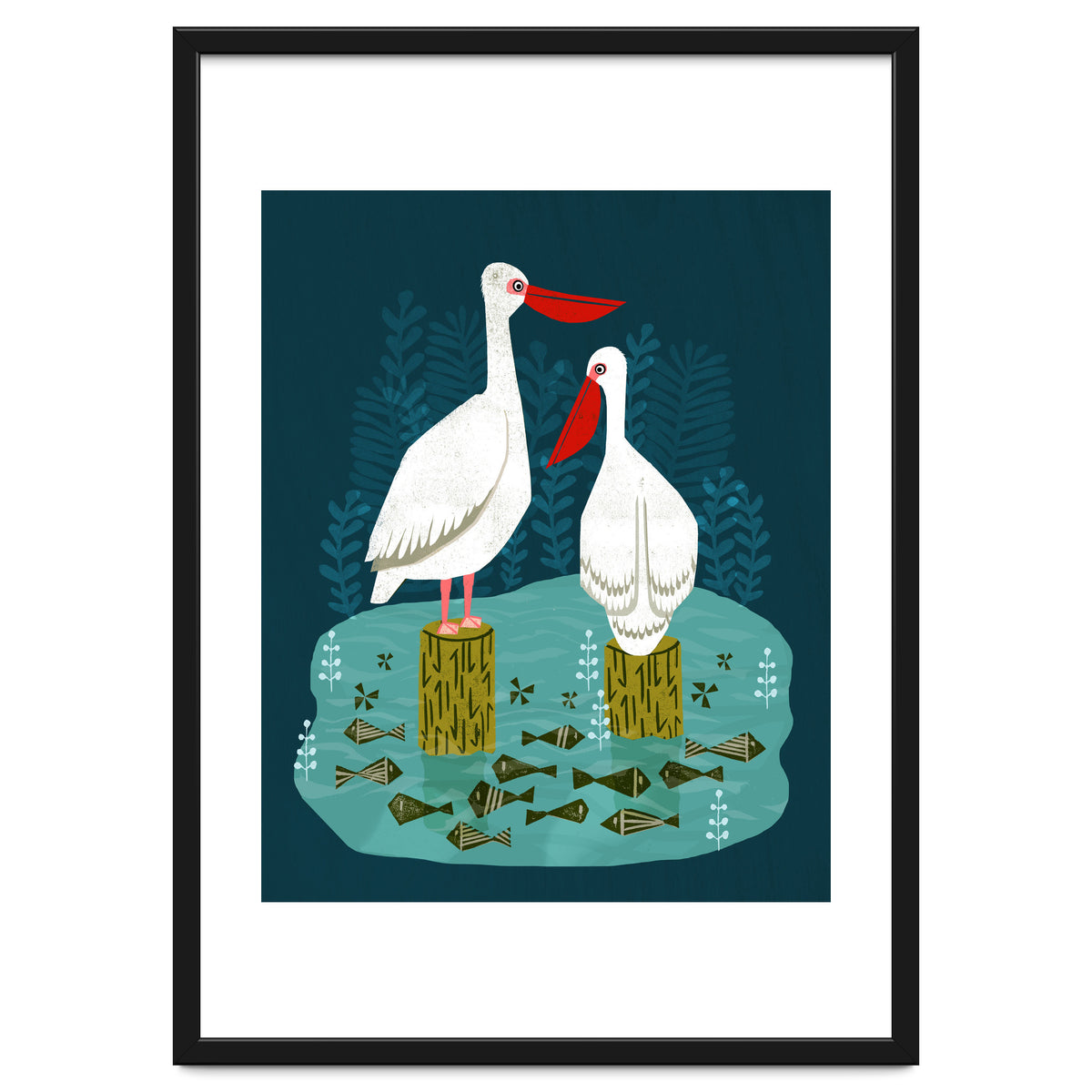 Pelicans