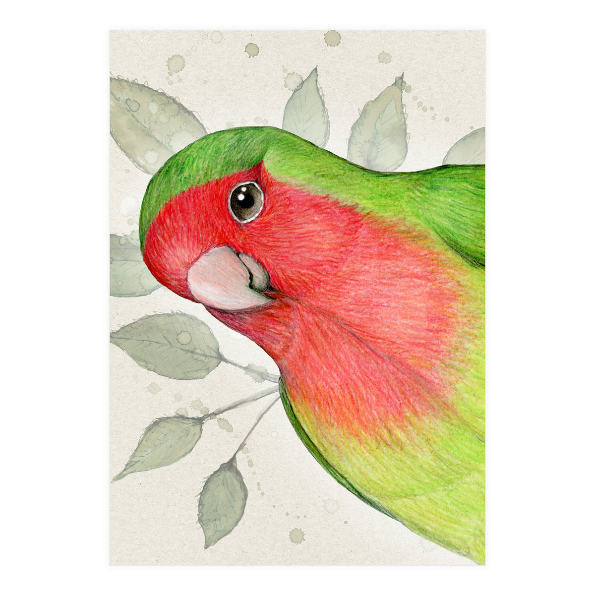 Curious lovebird (Print Only)