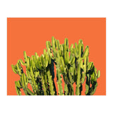 Bold Cactus (Print Only) thumbnail