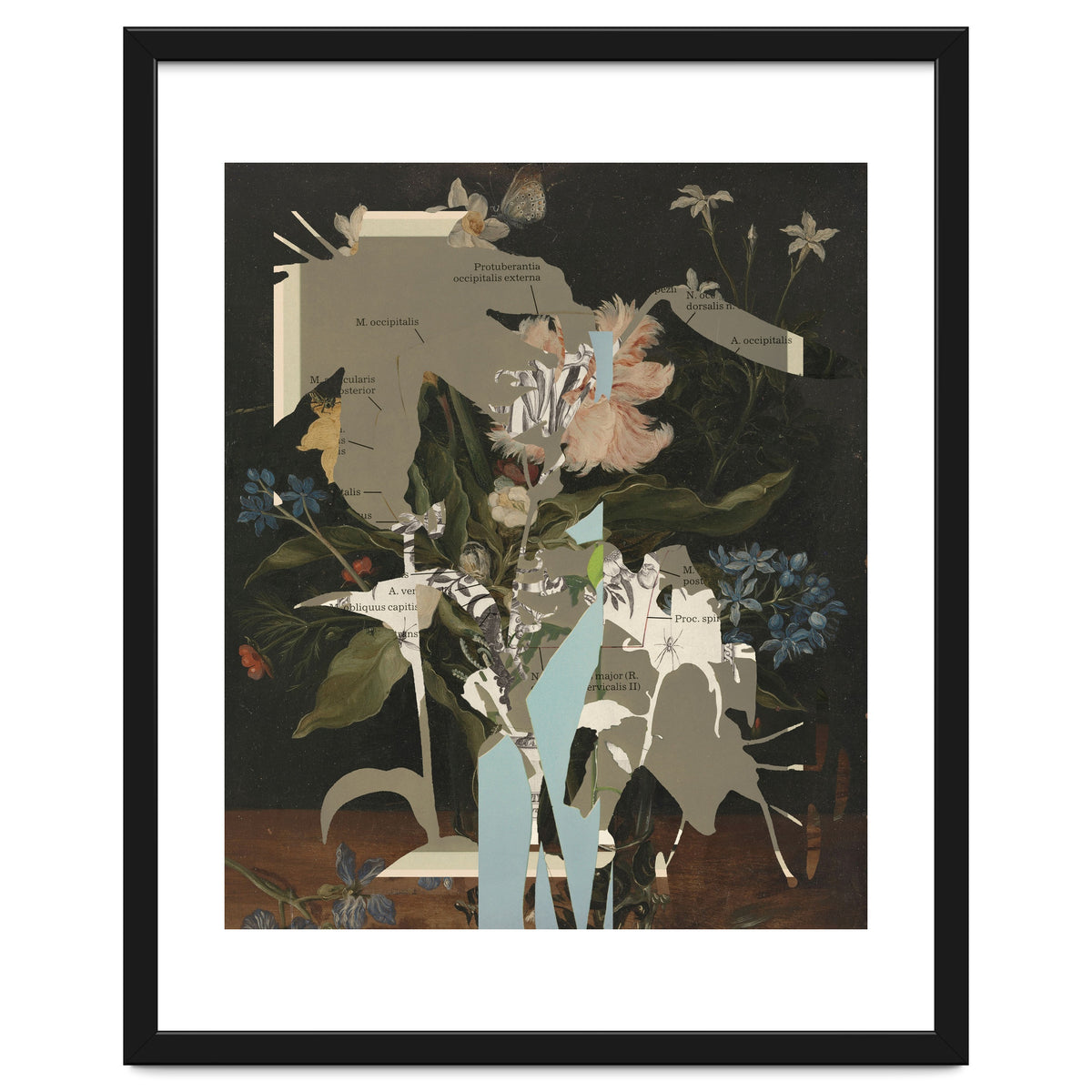 The First Plant · D2