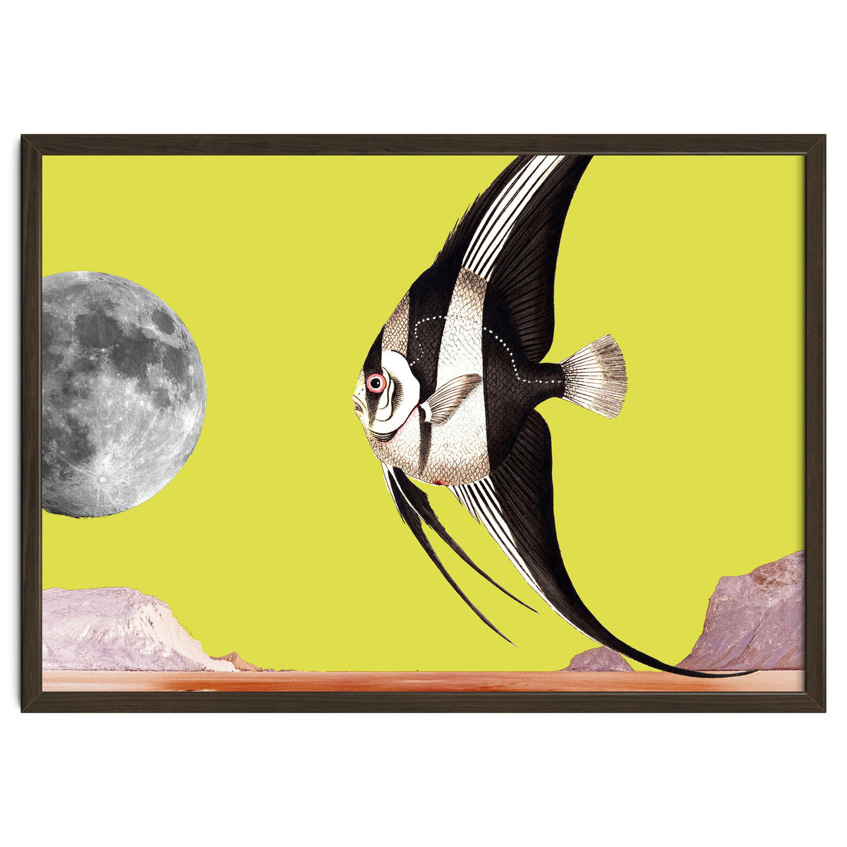 Plenty of fish in the sea yellow