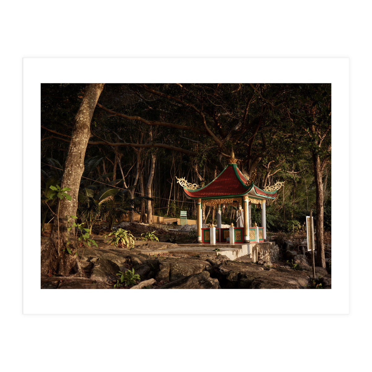 Prey Pray (Print Only)