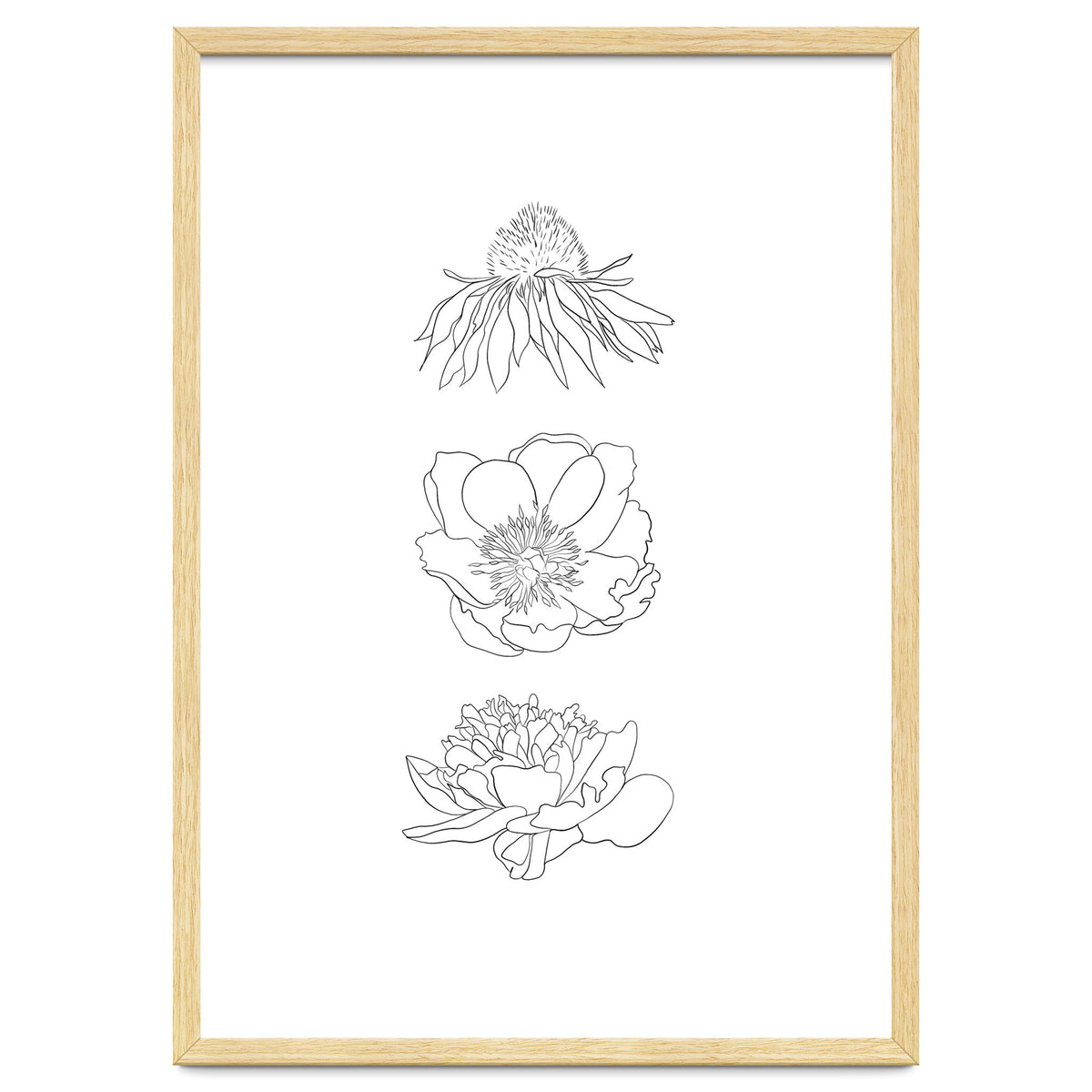Hand Drawn Flowers