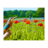 Bird and flower (Print Only) thumbnail