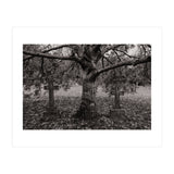 Golgotha (Print Only) thumbnail