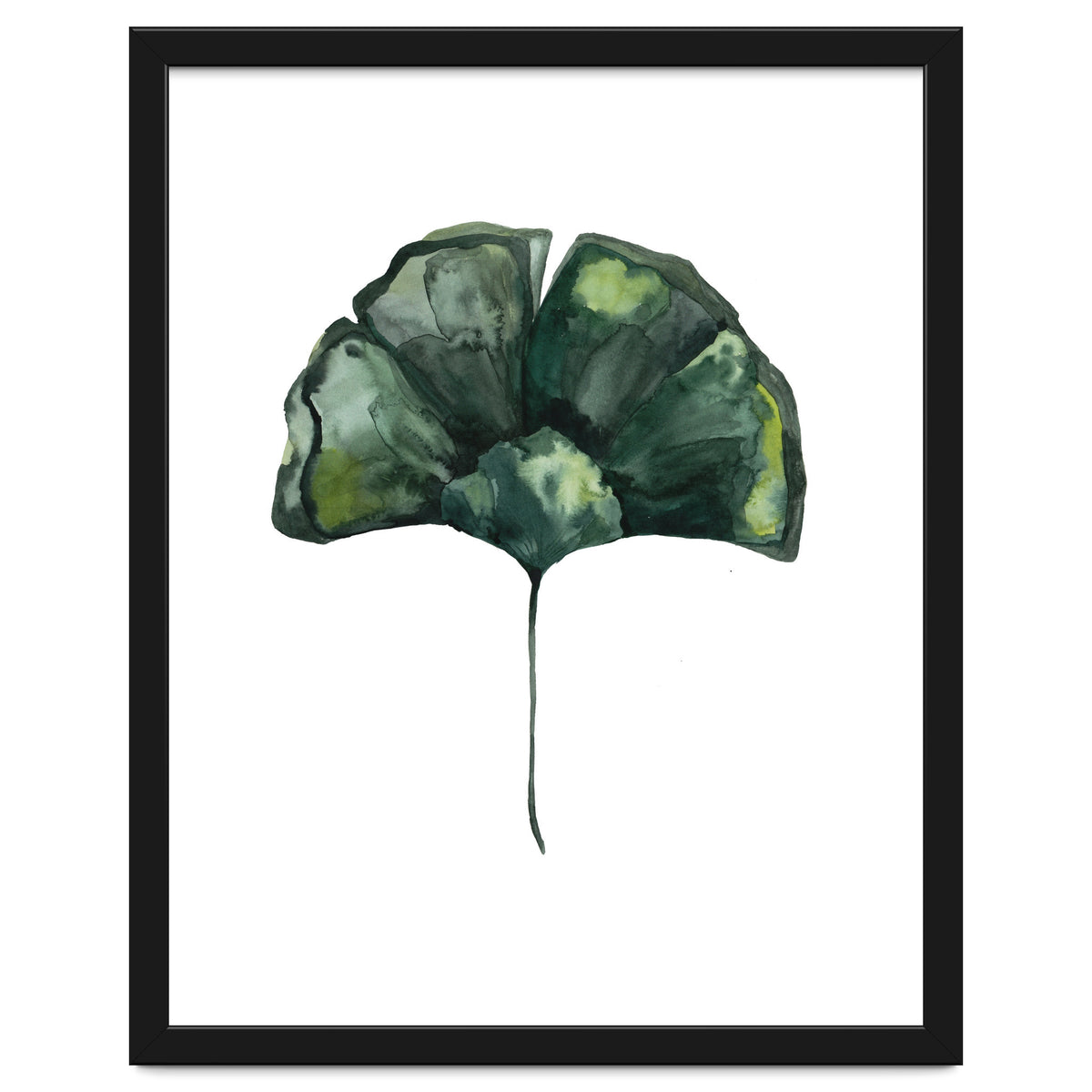 Botanical Illustration Ginko