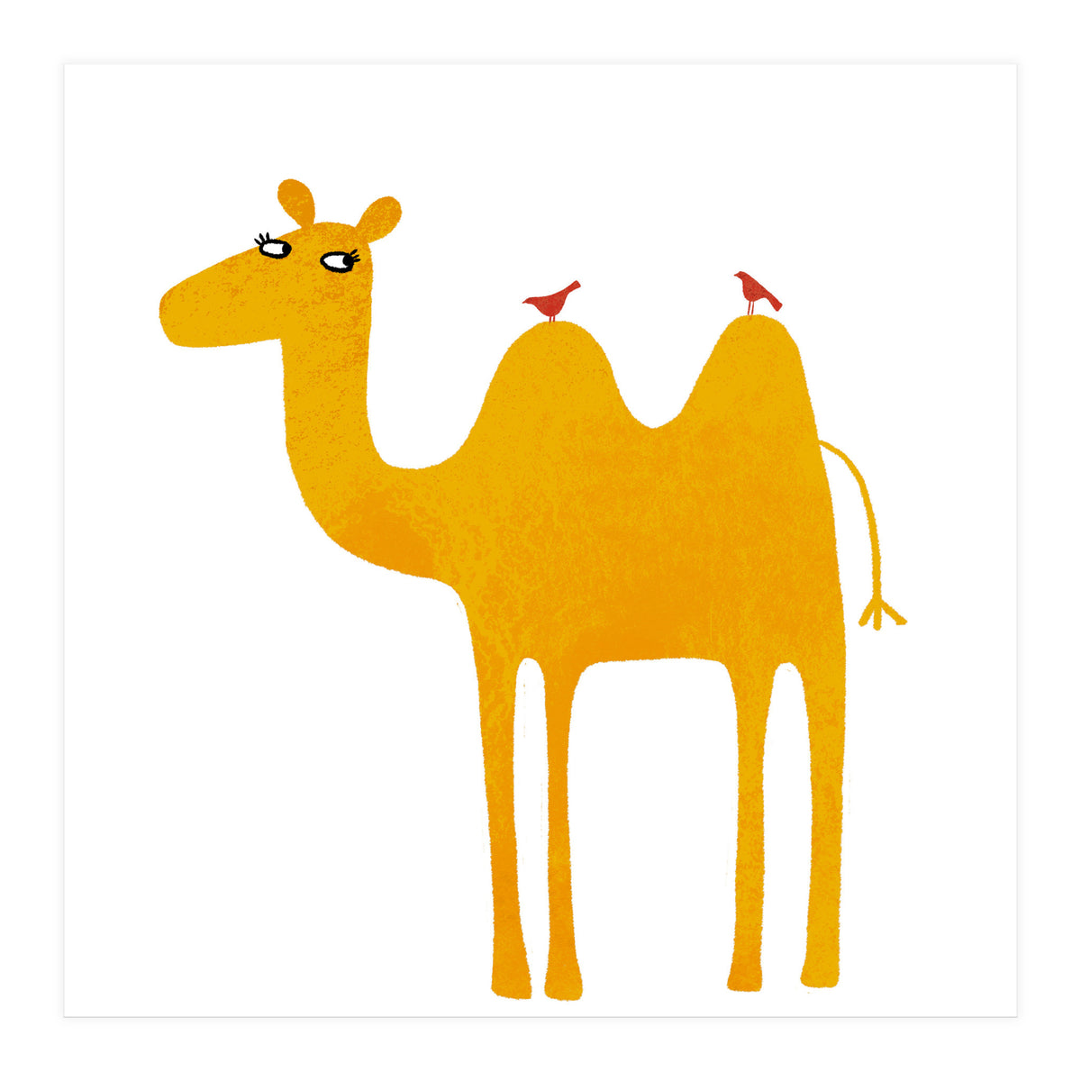 Camel (Print Only)