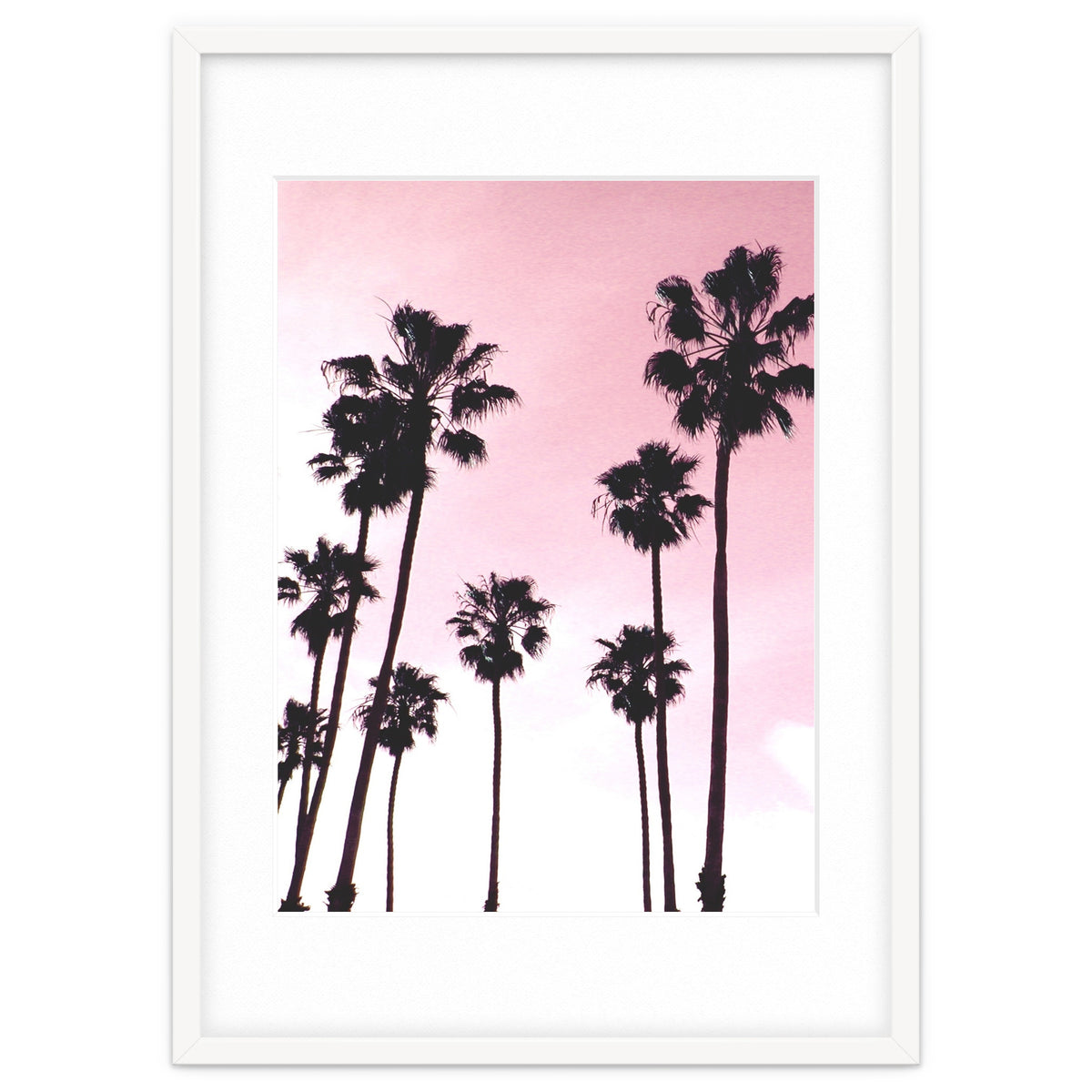 Palms & Sunset