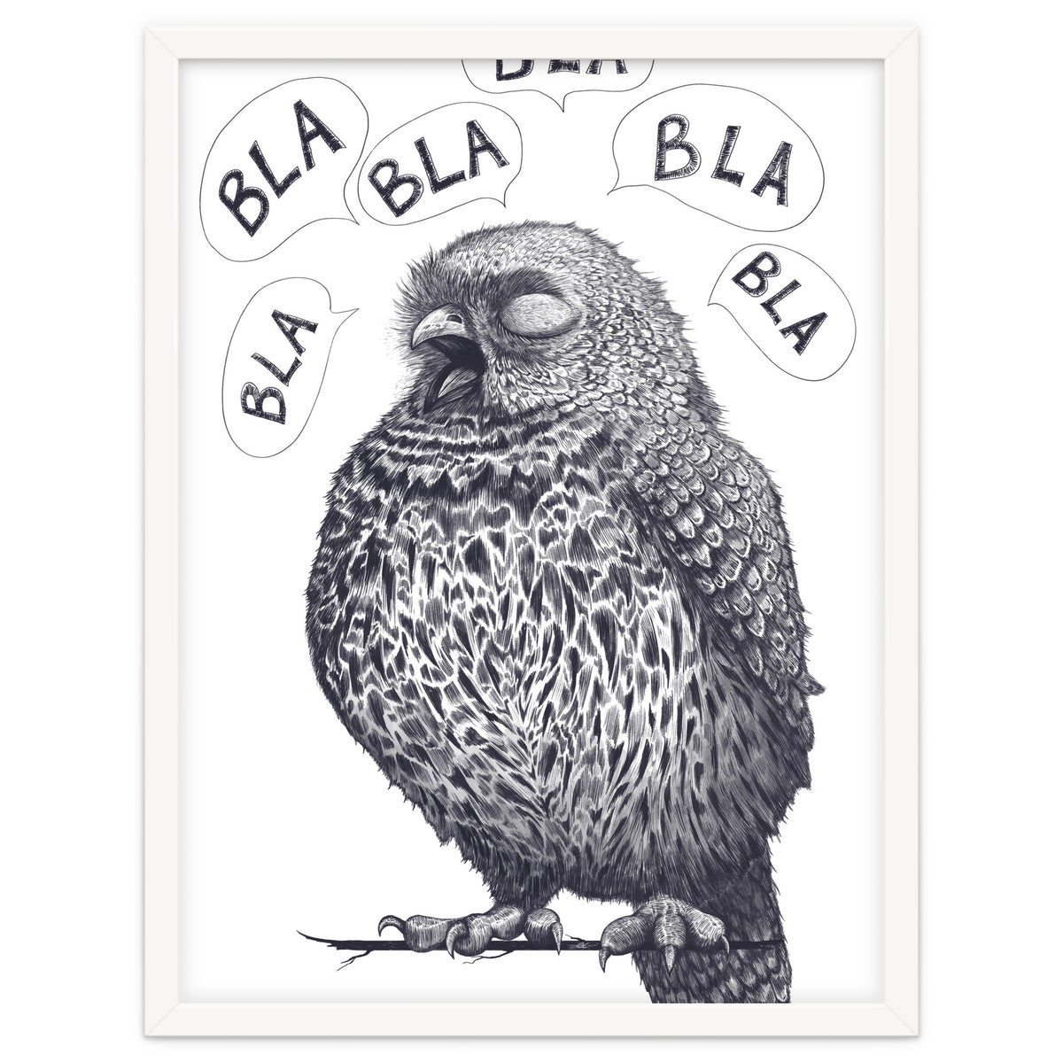 Owl Bla Bla Bla