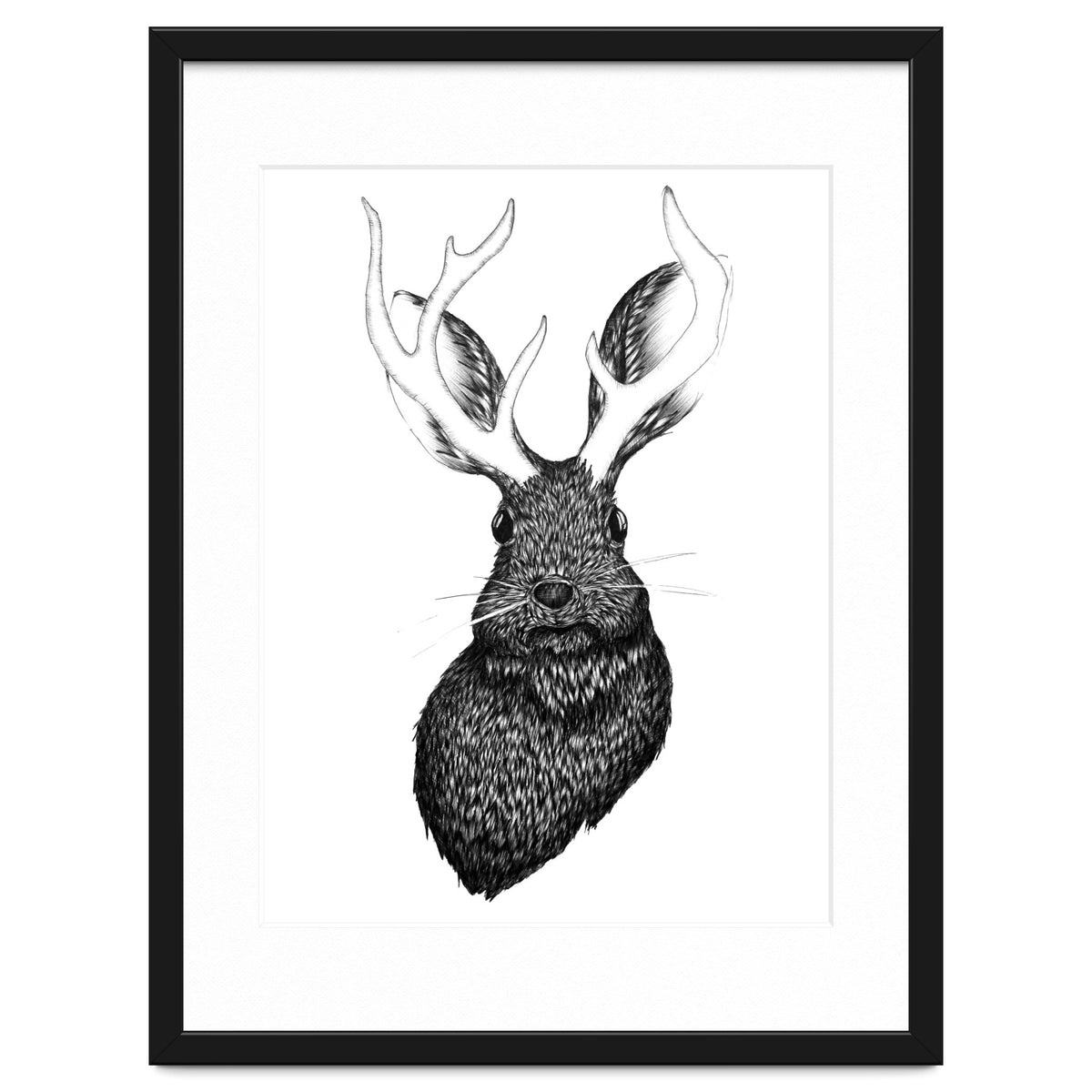 Jackalope