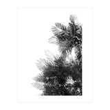 The Tree Top I (Print Only) thumbnail