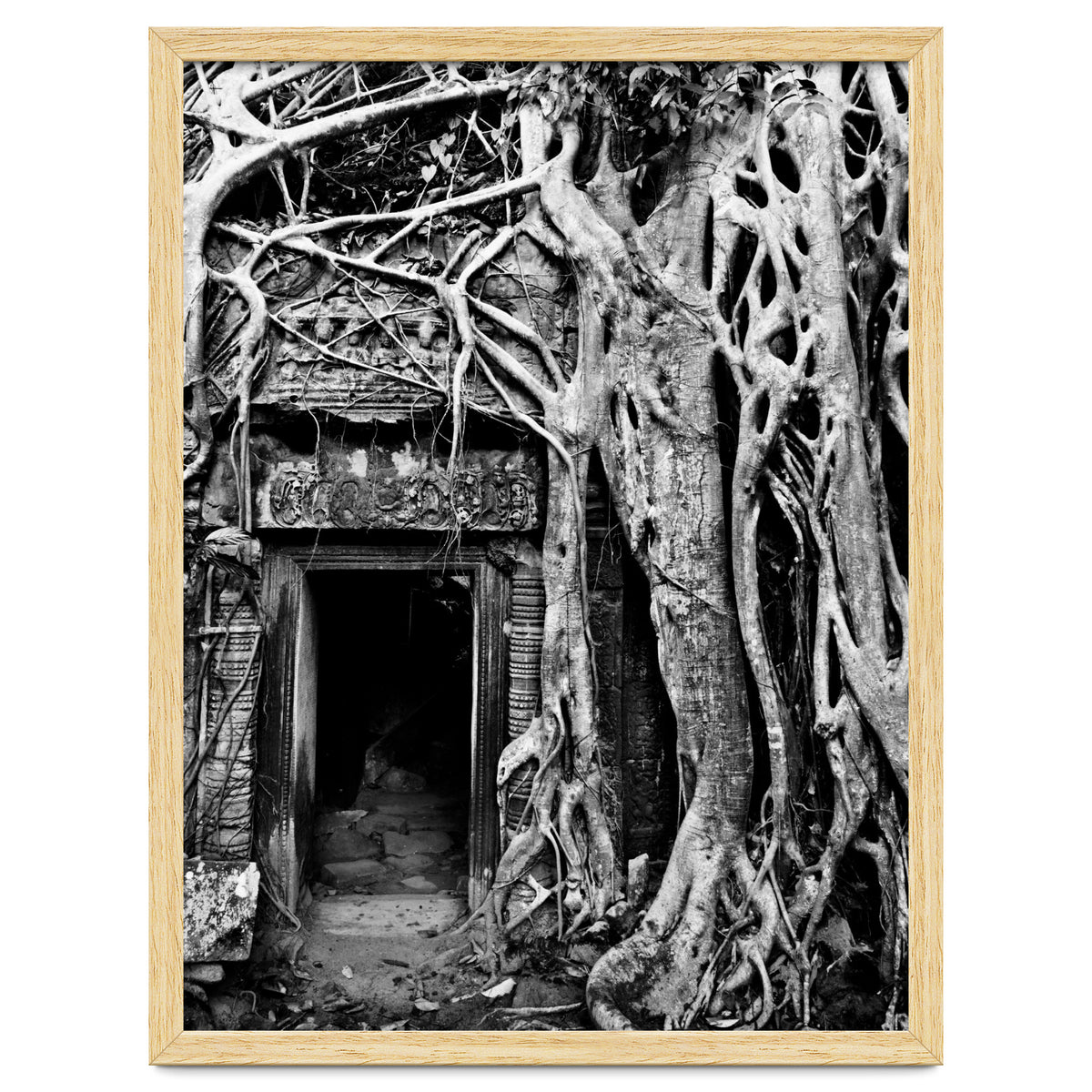 Ta Prohm Temple, Cambodia