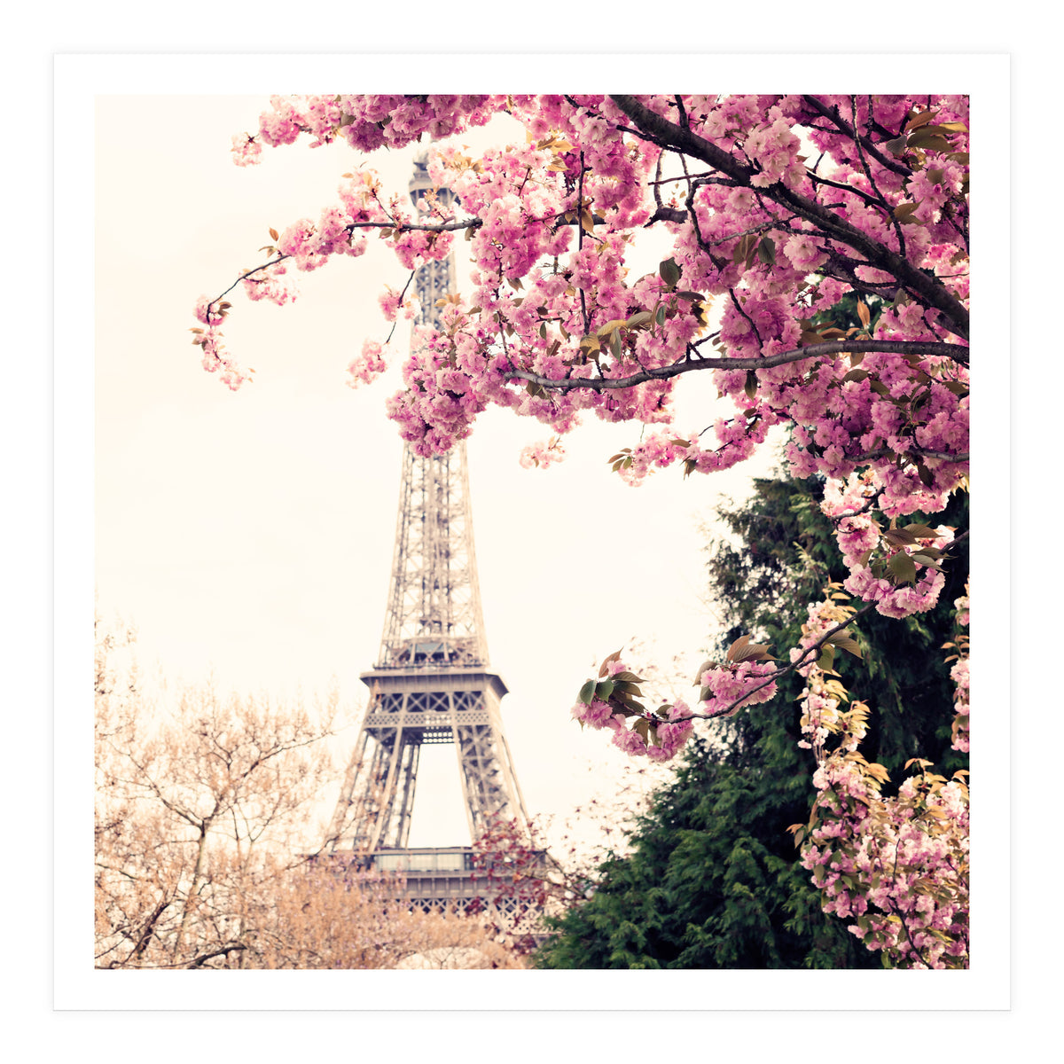 Paris in the Spring (Print Only)