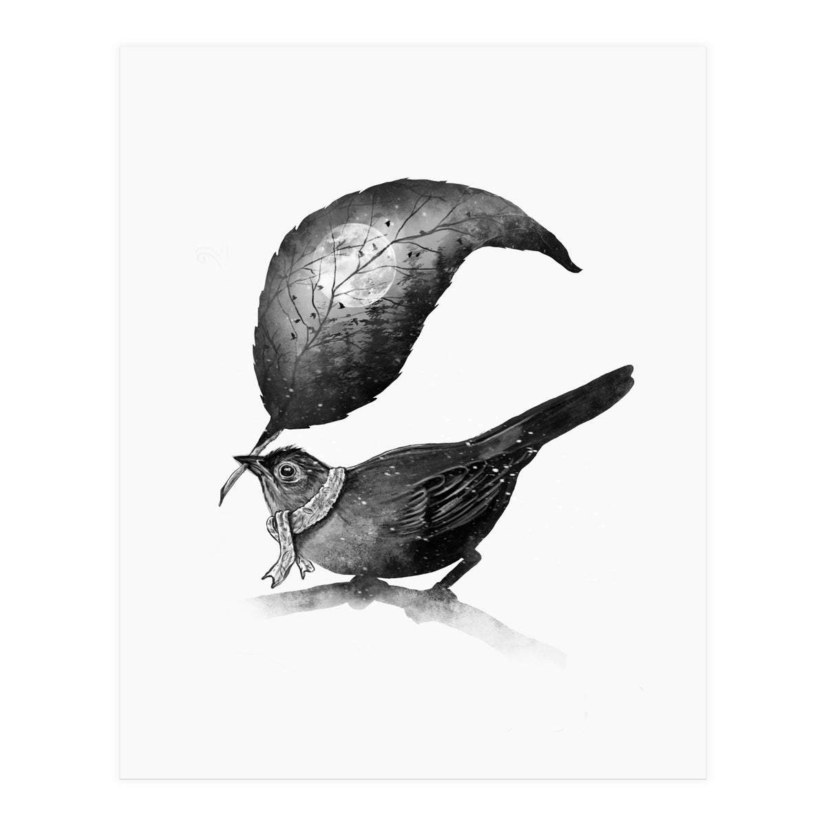 The Messenger (Print Only)