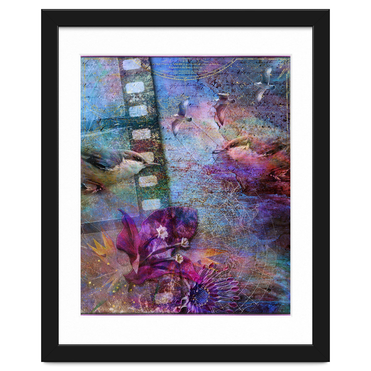 Watching the Wild World