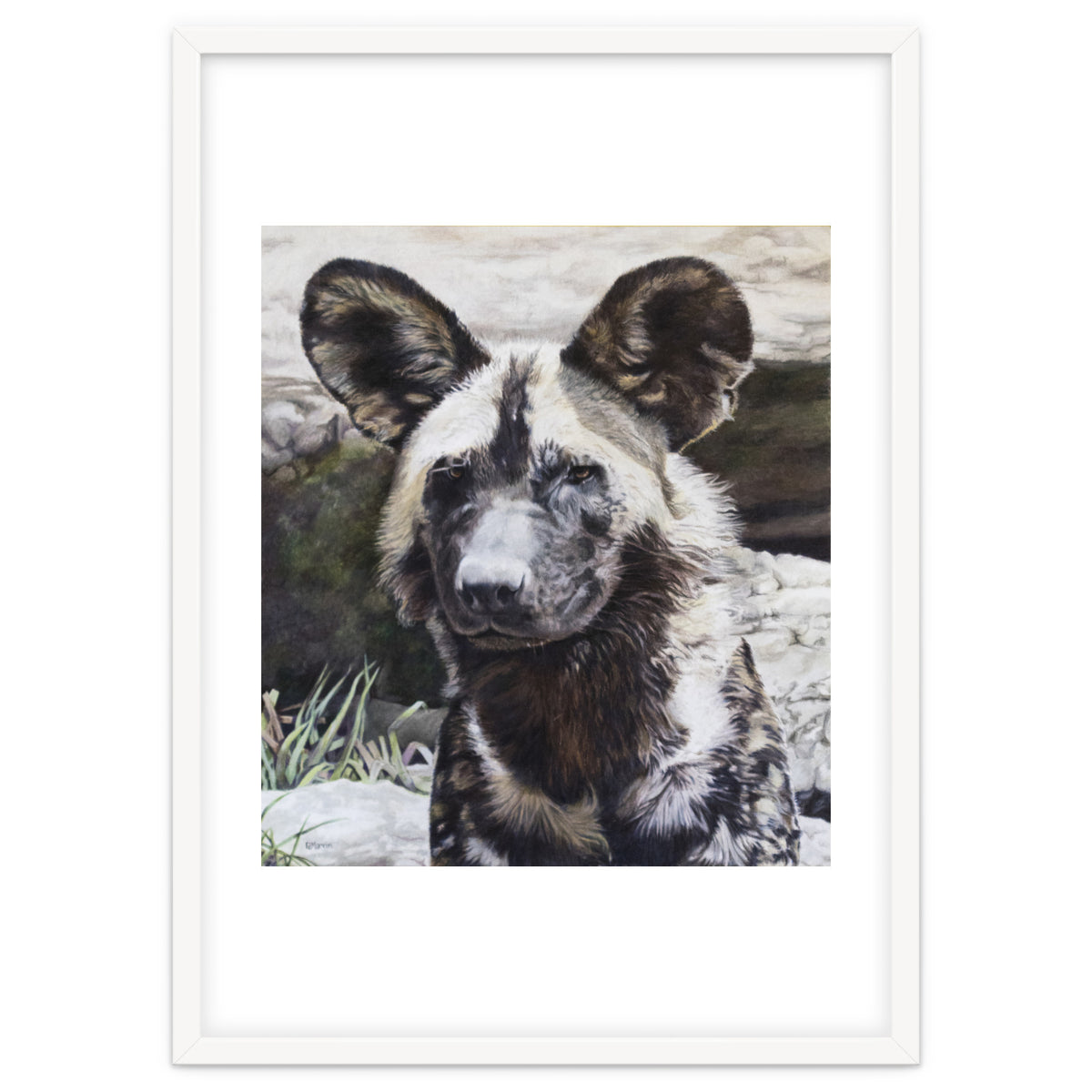 African Painted Dog II
