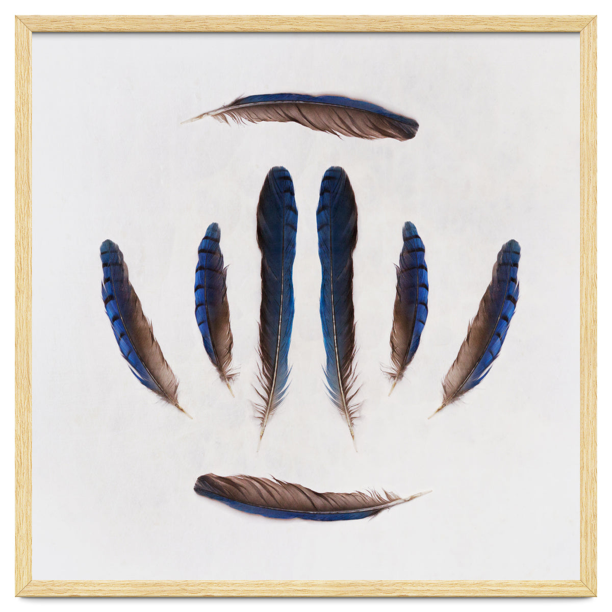 Forgive Me For Forgetting