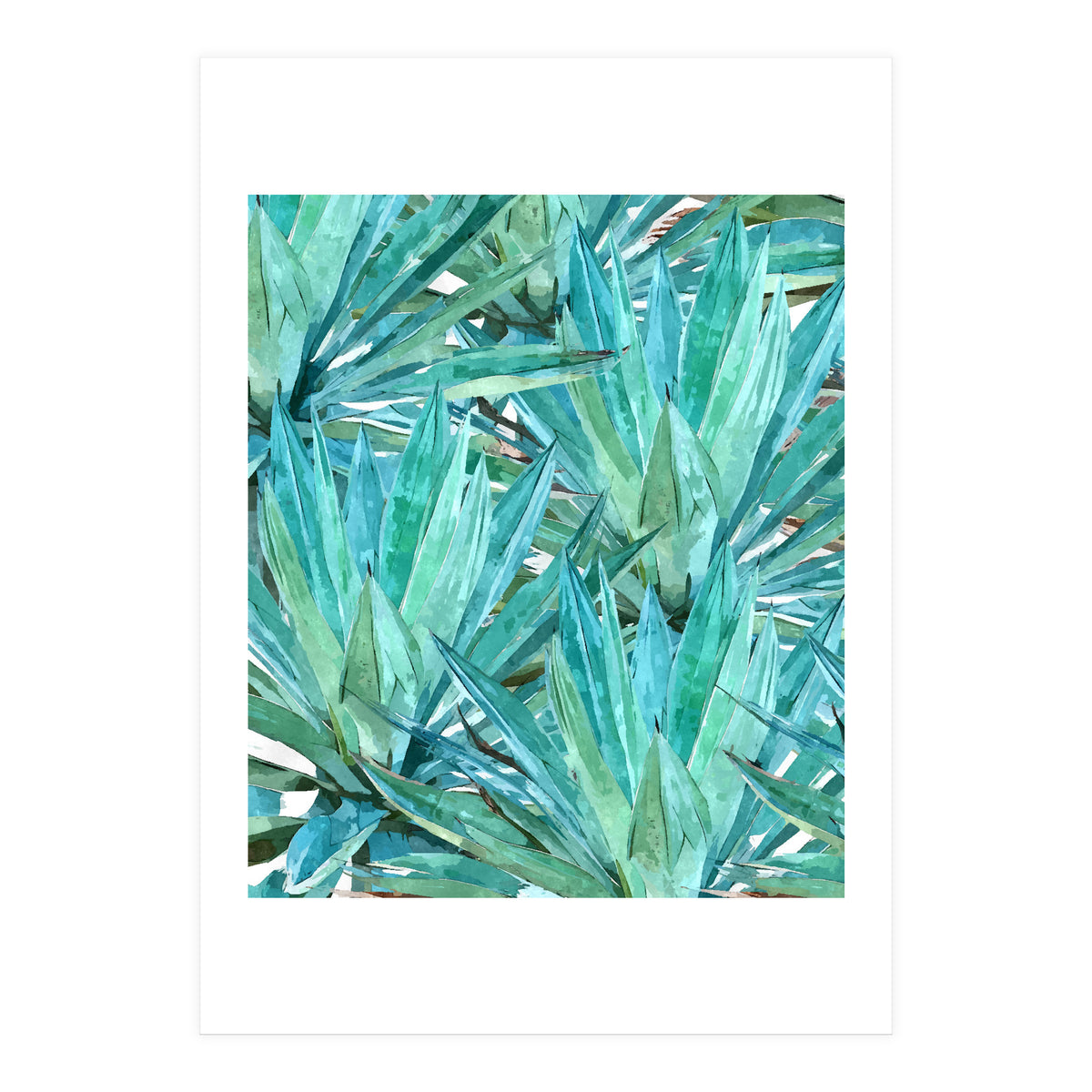 Agave  (Print Only)
