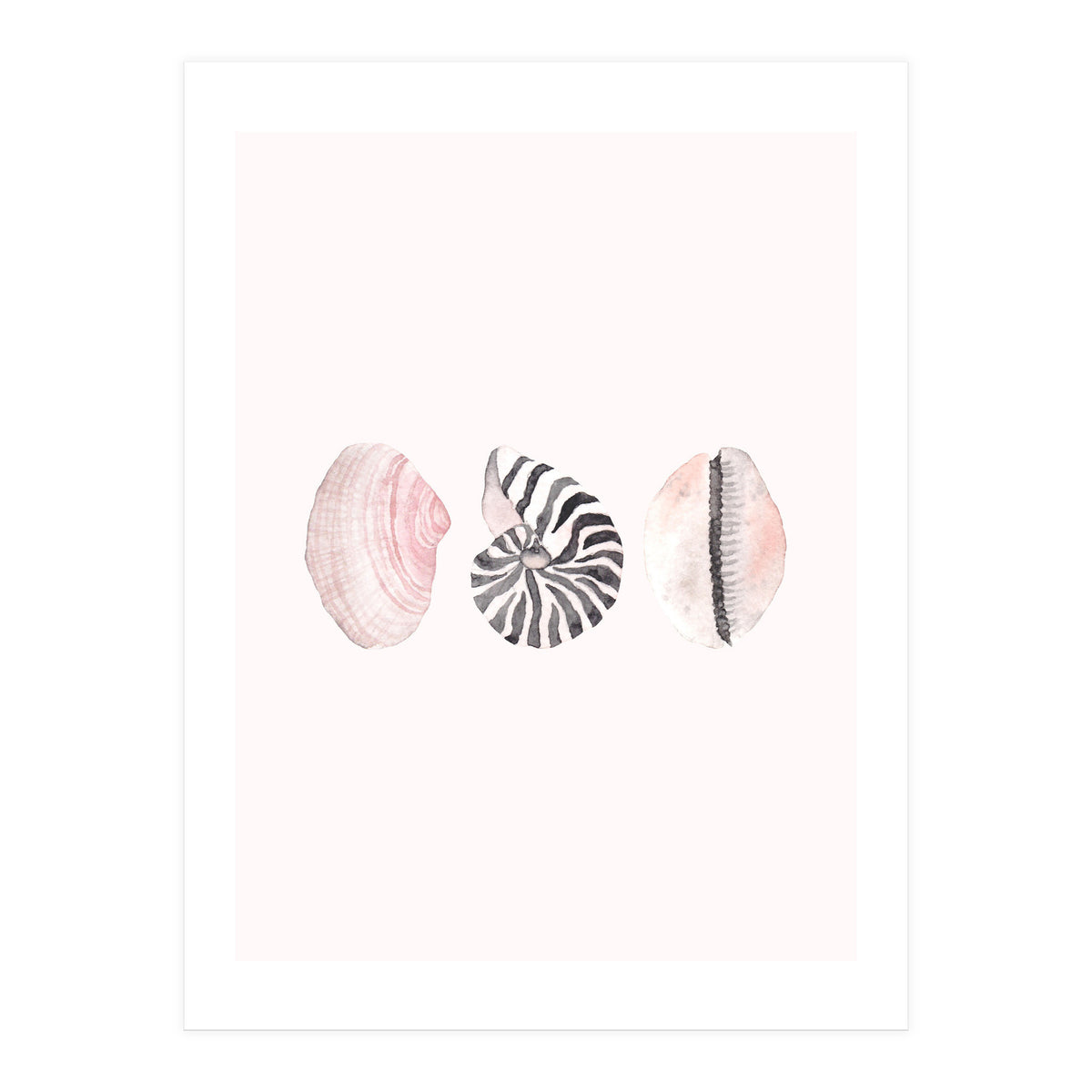 Seashells (Print Only)