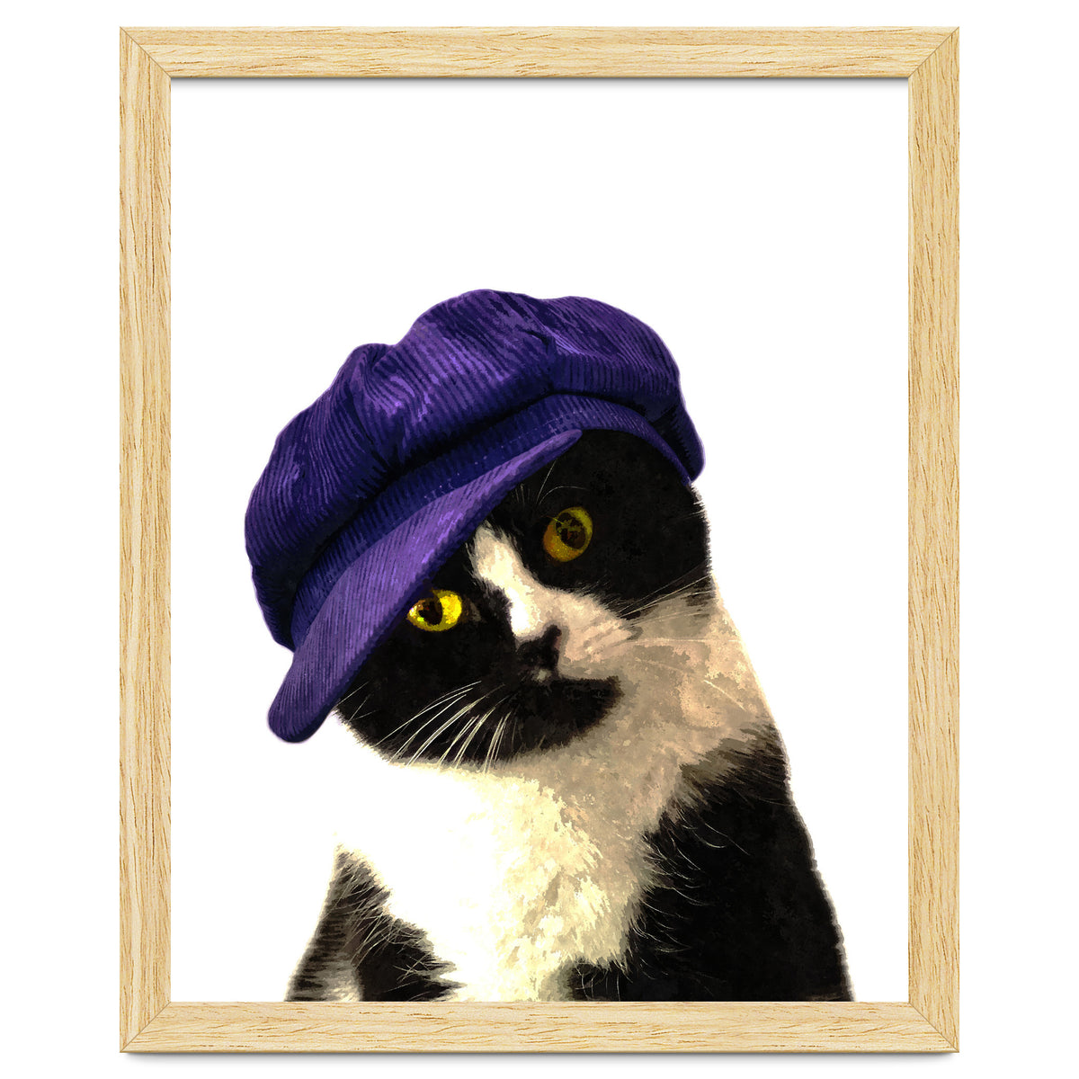 Cat Blue Hat