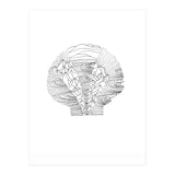 Salt&surf Scallop Waves (Print Only) thumbnail