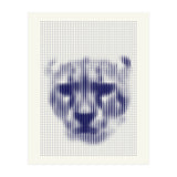 Lioness 2018 (Print Only) thumbnail