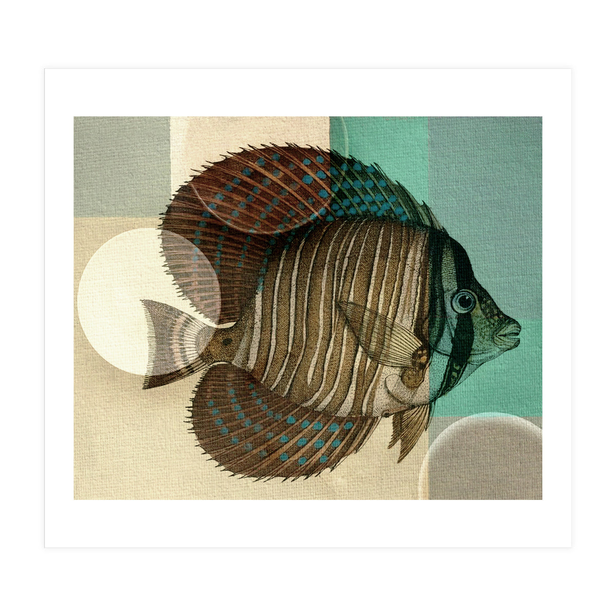 Fish Between Circles 4 (Print Only)