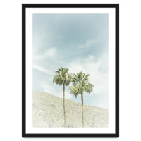 Palm Trees in the desert | Vintage