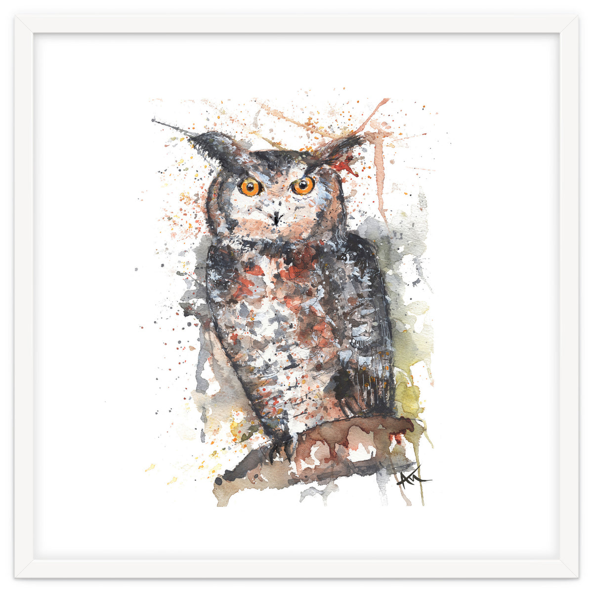 Owl - Wildlife Collection