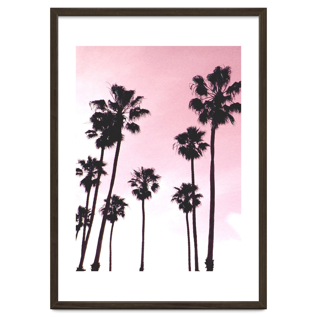 Palms & Sunset