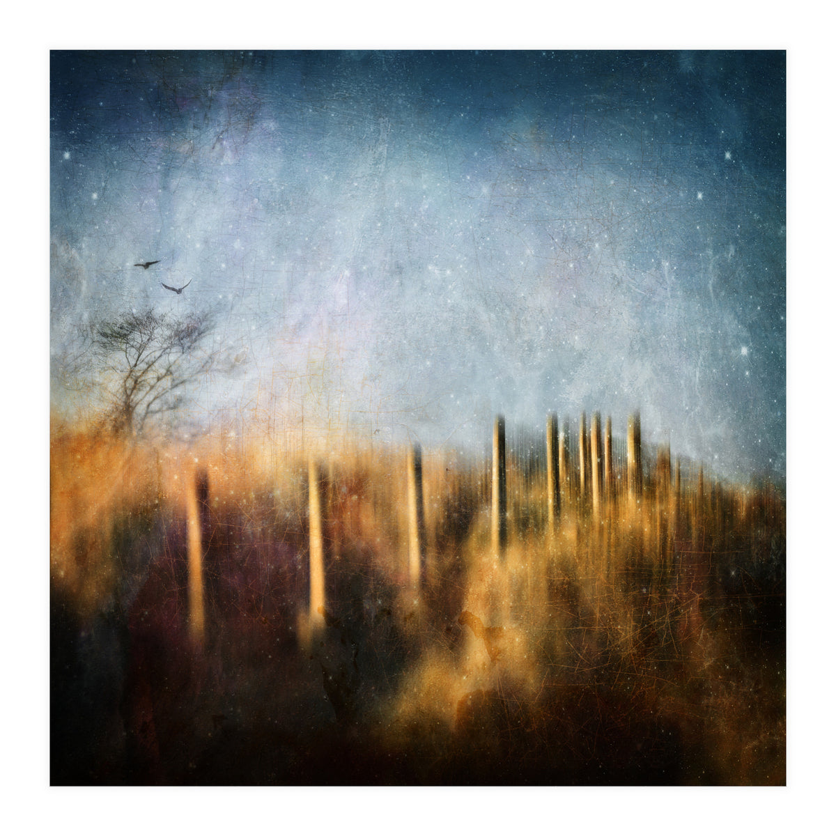 Those Beating Wings (Print Only)