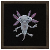 Axolotl